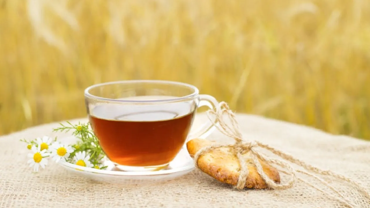 Çay Saatlerinizin Vazgeçilmezi Pratik Tarifler