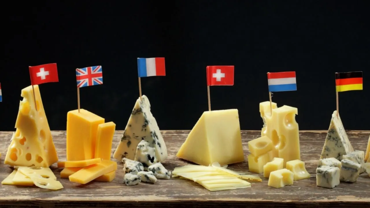 Dünya Mutfağından Peynir Lezzetleri