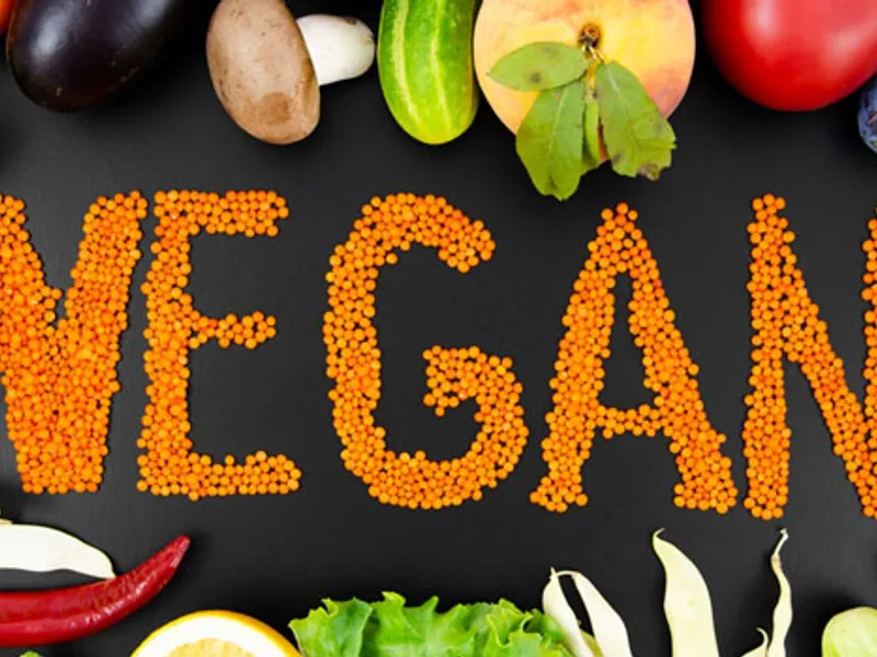 Vegan Tarifleri