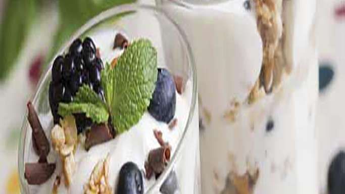 Meyveli Yoğurtlu Puding Tarifi